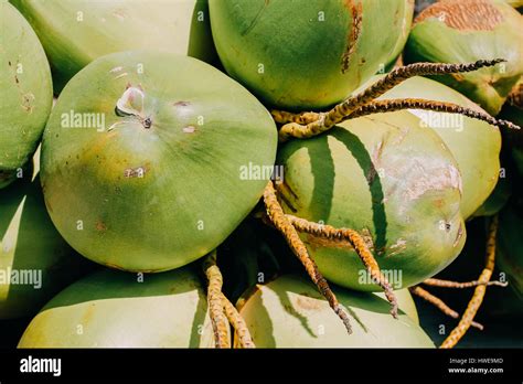 Green coconuts hi-res stock photography and images - Alamy