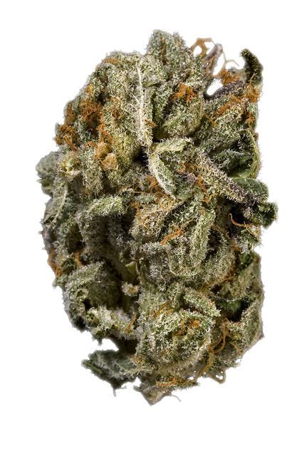 Platinum Kush Strain - Indica Cannabis Review, THC : Hytiva