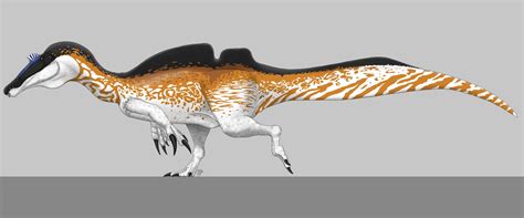 Ichthyovenator Skeleton