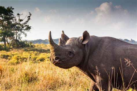 iSimangaliso Wetland Park Activities - St Lucia South Africa