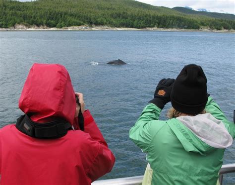 Mendenhall Glacier & Wildlife Quest - JNU Shore Excursions | Carnival Cruise Line