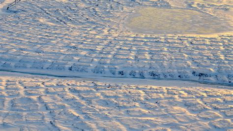 Alaska tundra source of early-winter carbon emissions – Climate Change ...