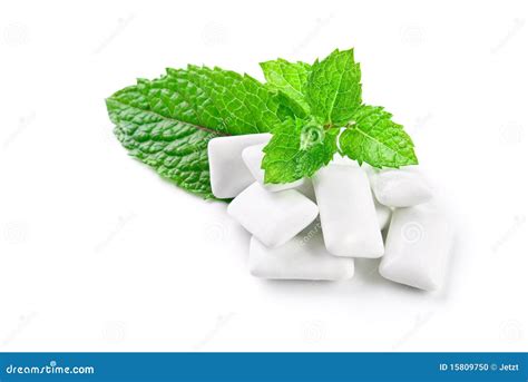 Chewing gum and mint stock photo. Image of leaves, protection - 15809750