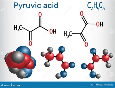 Pyruvic Acid Pyruvate Molecule. it is the Simplest of the Alph Stock ...