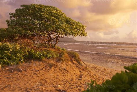 Sunrise Hawaii 1389154 Stock Photo at Vecteezy