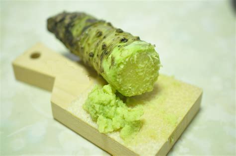 What is Wasabi? | Japan Wonder Travel Blog