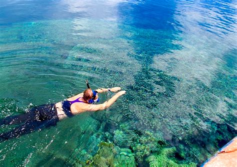 SNORKELING of BUNAKEN CHA CHA NATURE RESORT