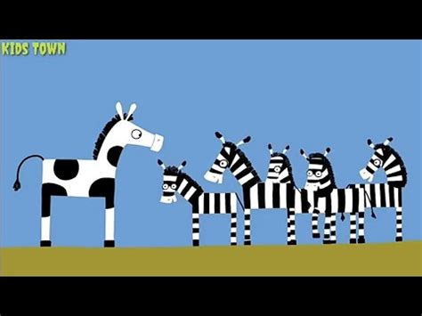 Animanimals: Zebra - YouTube