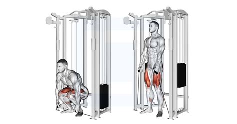 Band Stiff Leg Deadlift - Guide, Benefits, and Form