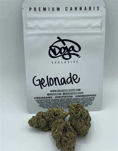 Buy Gelonade strain online | Gelonade Strain | Gas house store