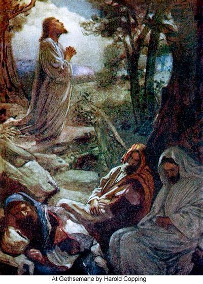 Into The King's Garden: Jesus' Prayer of Submission at Gethsemane