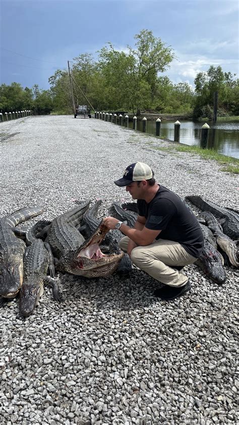 Guided Louisiana Alligator Hunts | Acme Fur and Trap