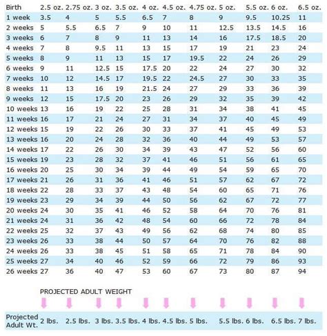 Yorkie_Weight_Chart_for_Estimating_Mi-Ki_puppies | Royal T Mi-kis