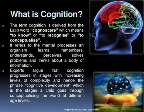 What is Cognition? The term cognition is derived from the Latin word ...