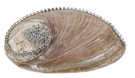 Abalone Pearl – Studio Ferro