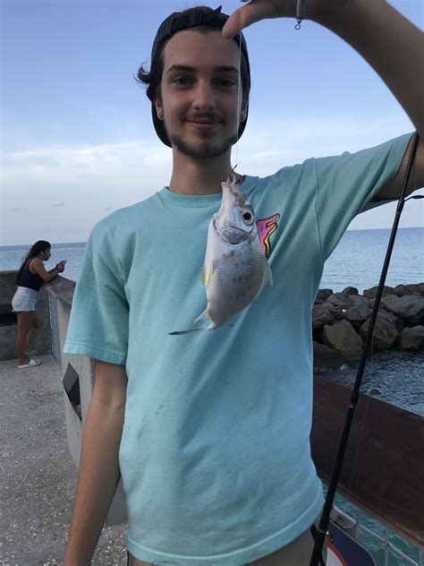 Species? Caught in Miami off South Pointe Pier. : r/Fishing