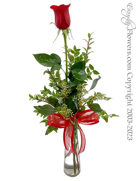 Single Rose Delivery - Everyday Flowers