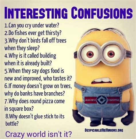 Interesting Confusions | Minion Madness | Pinterest | Confusion and Random things