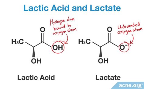 What Are the Chemical Structure of Lactic Acid and Lactate - Acne.org