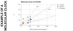 Molecular Clock - No Blog Title Set