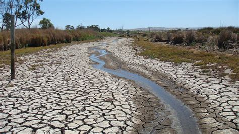 Droughts are threatening global wetlands: new study | Newsroom ...