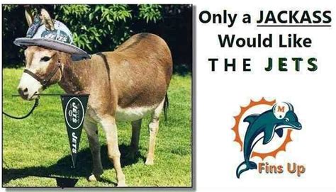 Miami Dolphins Memes (@DolphinsMemes) / Twitter