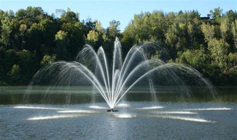 The Benefits of a Beautiful Lake Fountain - Water Feature Pros