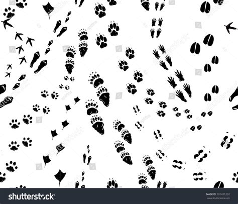 Variety wild animal best blog: Illustration wild animal paw prints