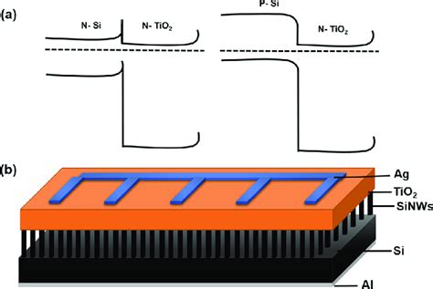 (a) Band diagram of the n−n isotype heterojunction (left) and band... | Download Scientific Diagram