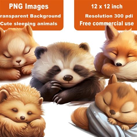 Sleeping Animals Clipart - Etsy