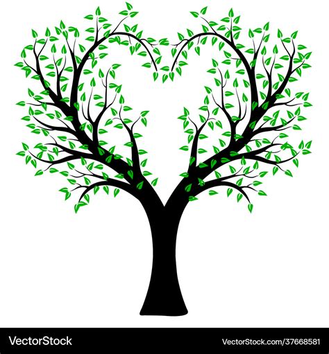 Heart shaped tree with leaves Royalty Free Vector Image