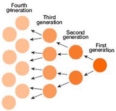 Cell Proliferation Assay | ABP Biosciences