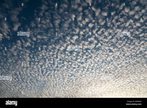 Altocumulus clouds in blue sky forming an interesting pattern Stock Photo - Alamy