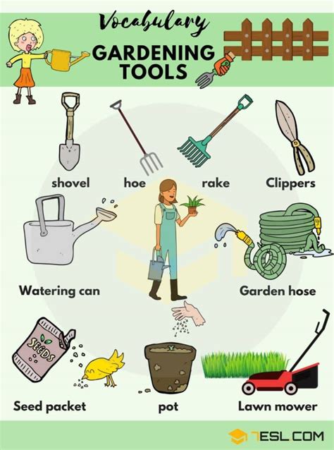 Gardening Tools: Names, List with Useful Pictures • 7ESL