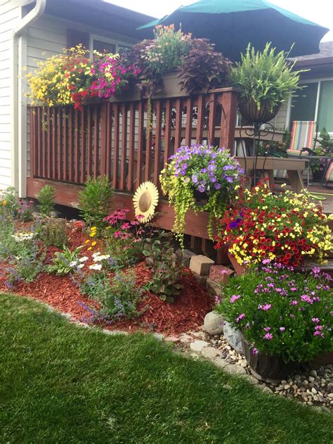 Pin by Amanda McCarthy on Flowers | Small backyard landscaping, Backyard landscaping, Backyard