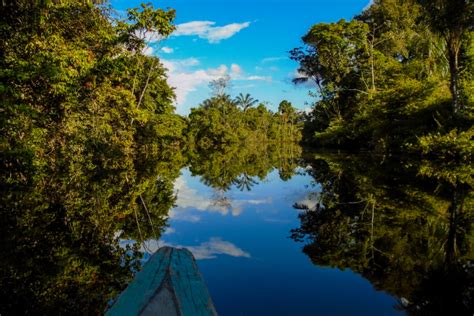 Mathkind | Colombia | Amazon Rainforest