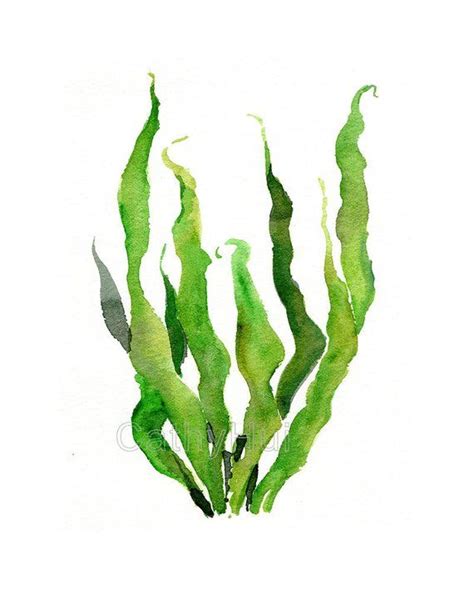 Green sea kelp seaweed watercolor painting print green leaves | Etsy | Watercolor paintings ...