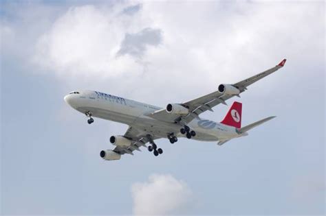 200+ Turkish Airlines Cargo Stock Photos, Pictures & Royalty-Free ...