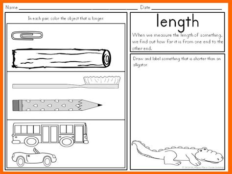 Length And Width Worksheets