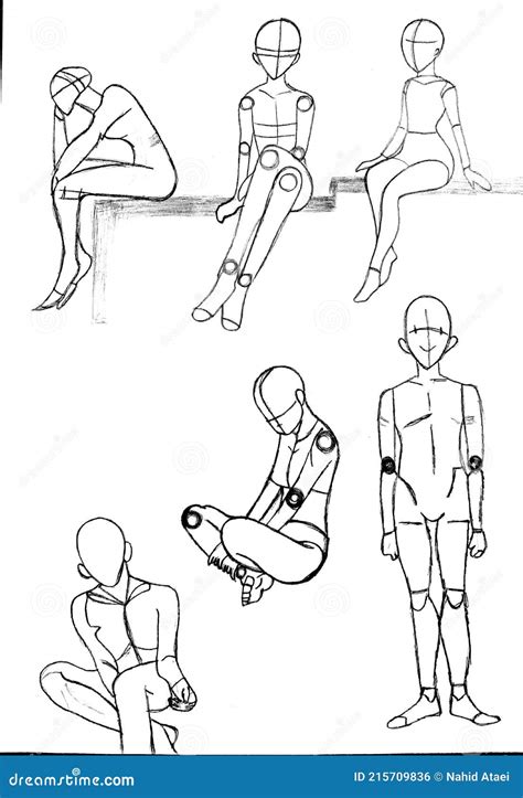 Anatomy Drawing of a Human Sitting and Standing Stock Photo - Image of ...