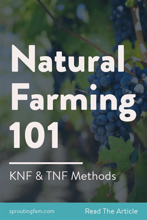 Korean Natural Farming is 1 of 3 main natural farming practices. This ...