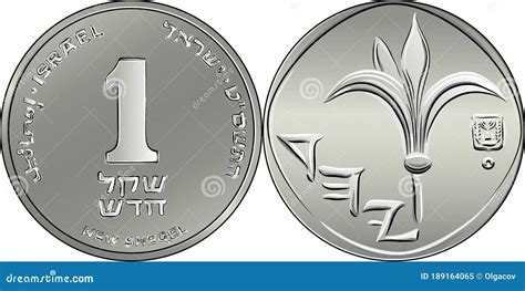 Vector Israeli Silver Money One Shekel Coin Stock Vector - Illustration of gold, isolated: 189164065