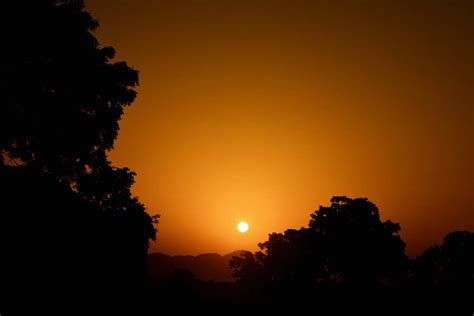 Sky Silhouette Of Trees And Setting Sun Silhouette Image Free Photo