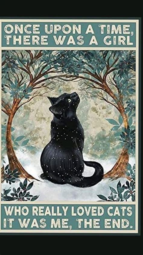 Cat posters - amazing funny posters with cats 😻🐈 | Cat posters, Halloween painting, Cat art