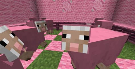 3 things players didn't know about Pink Sheep in Minecraft