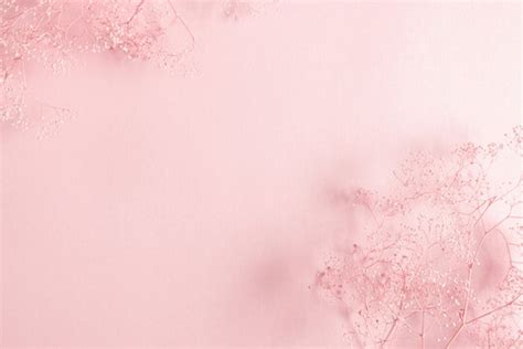 434 Background Flower Soft Pink Images & Pictures - MyWeb