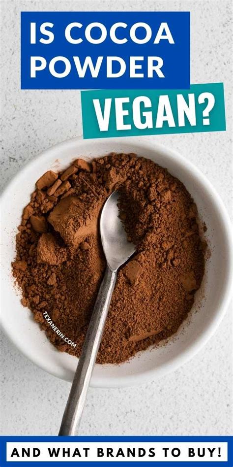 Is Cocoa Powder Vegan? (And What Brands To Buy) - Texanerin Baking