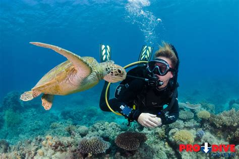 Silverswift Day Cruise | Great Barrier Reef Scuba Diving | Cairns | Australia