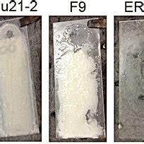 Biofilm formation by H. parasuis isolates. (A) Biofilm formation under... | Download Scientific ...