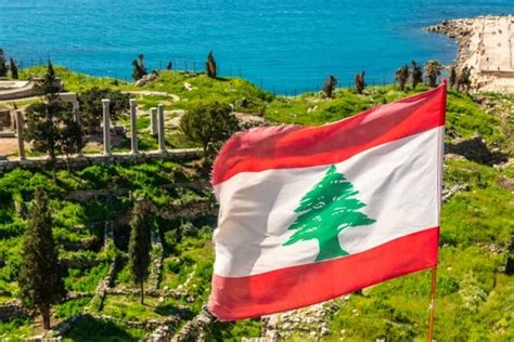 Why the Cedar Tree is the National Symbol of Lebanon | by Talia Sankari ...